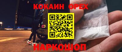 СК Новодвинск