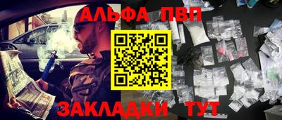 СК Новодвинск