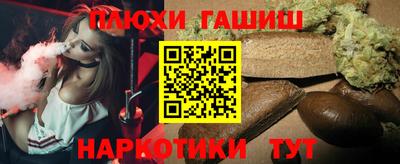 СК Новодвинск