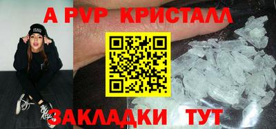 СК Новодвинск