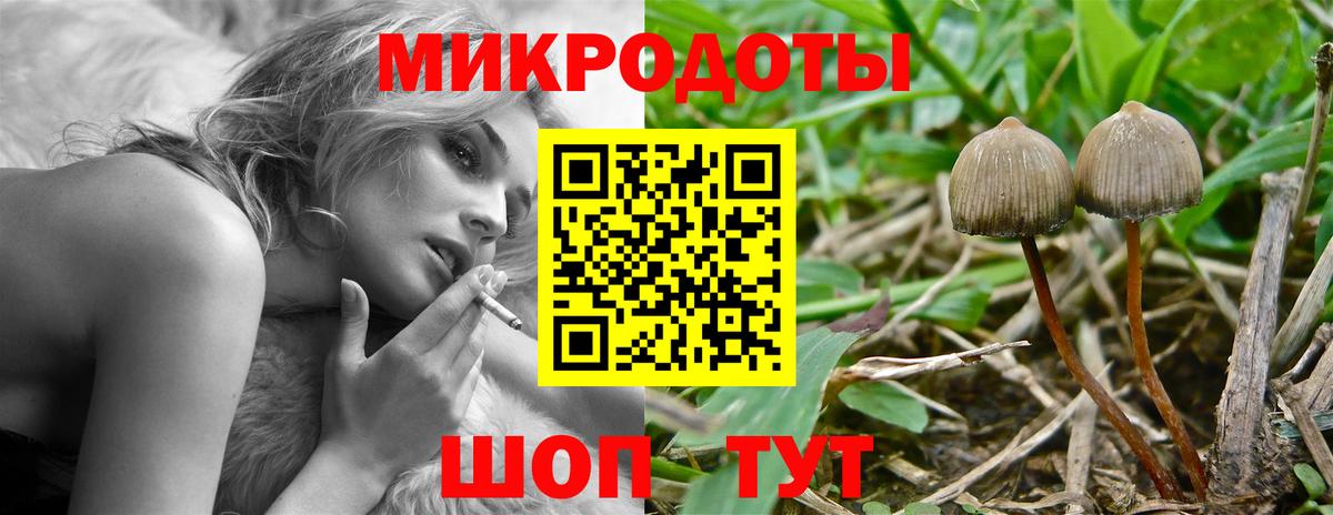 Галлюциногенные грибы ЛСД Рубцовск