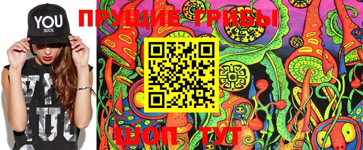 Псилоцибиновые грибы MAGIC MUSHROOMS  Вход с VPN  Рубцовск 